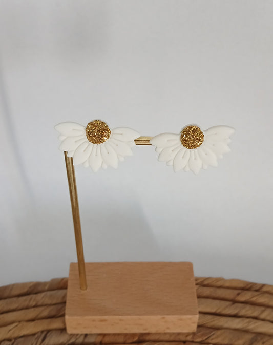 Pâquerettes
