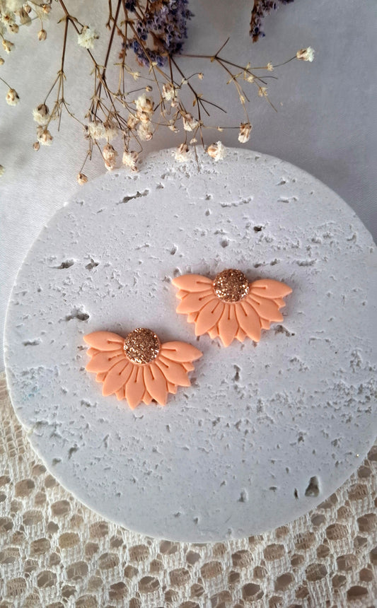 Pâquerettes